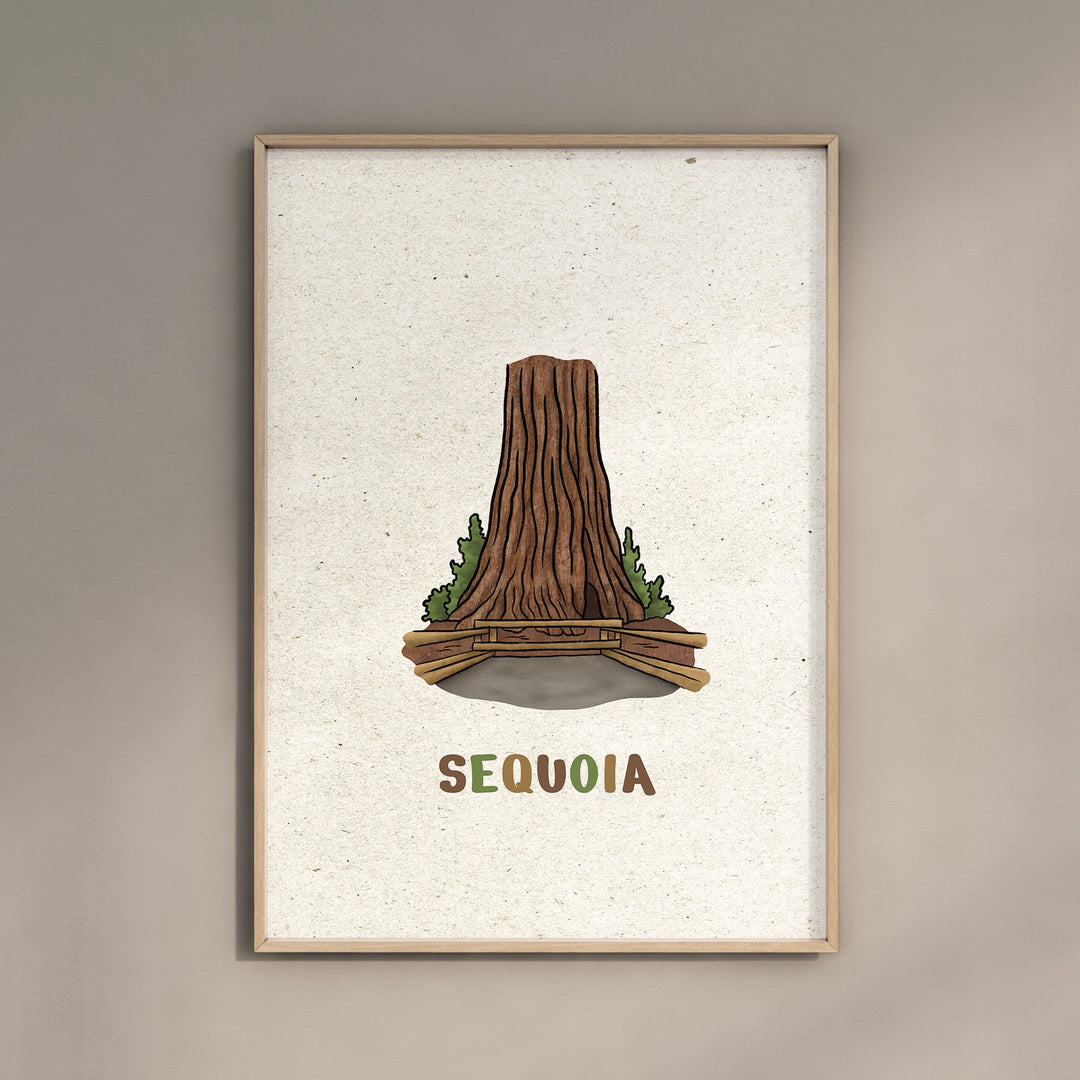 a picture of a tree with the word sequia on it
