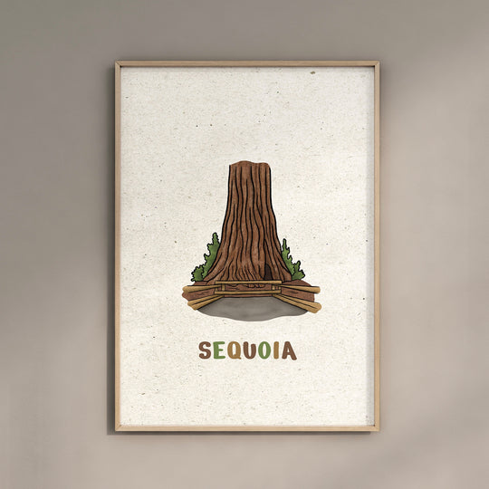 a picture of a tree with the word sequia on it
