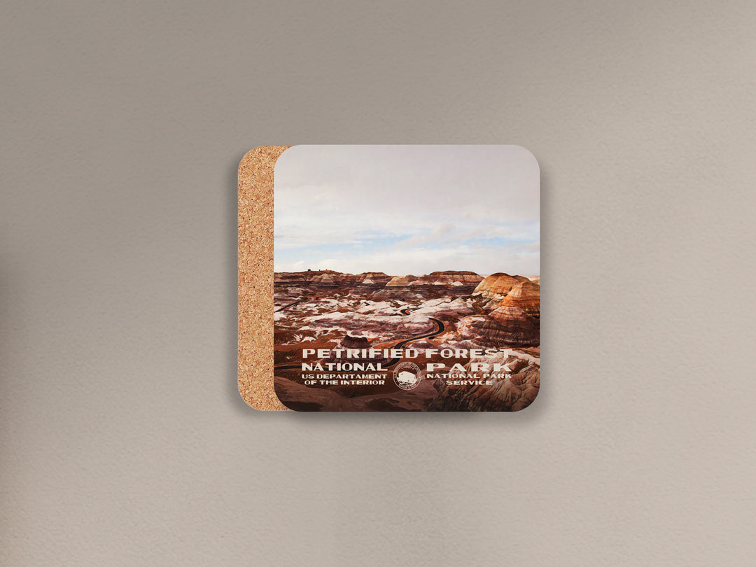 Petrified Forest National Park cork back coaster