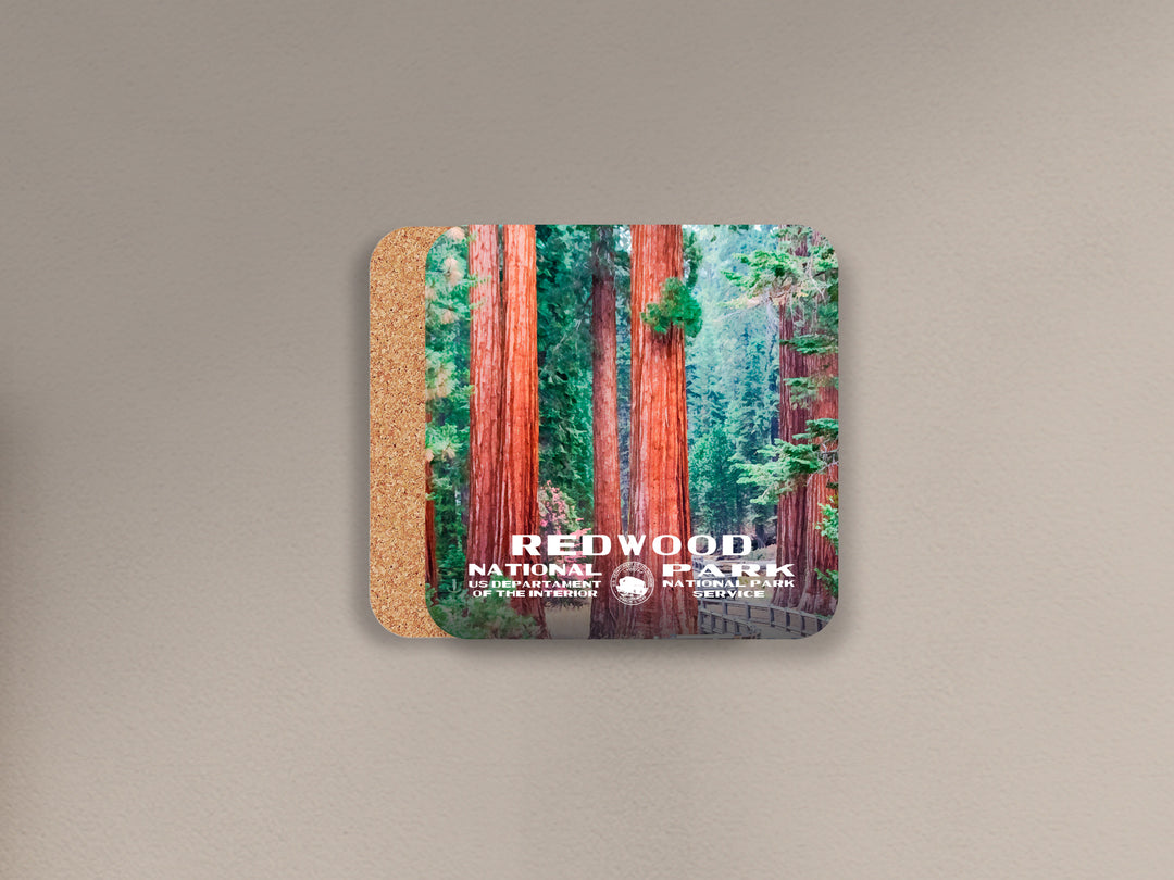 Redwood National Park cork back coaster