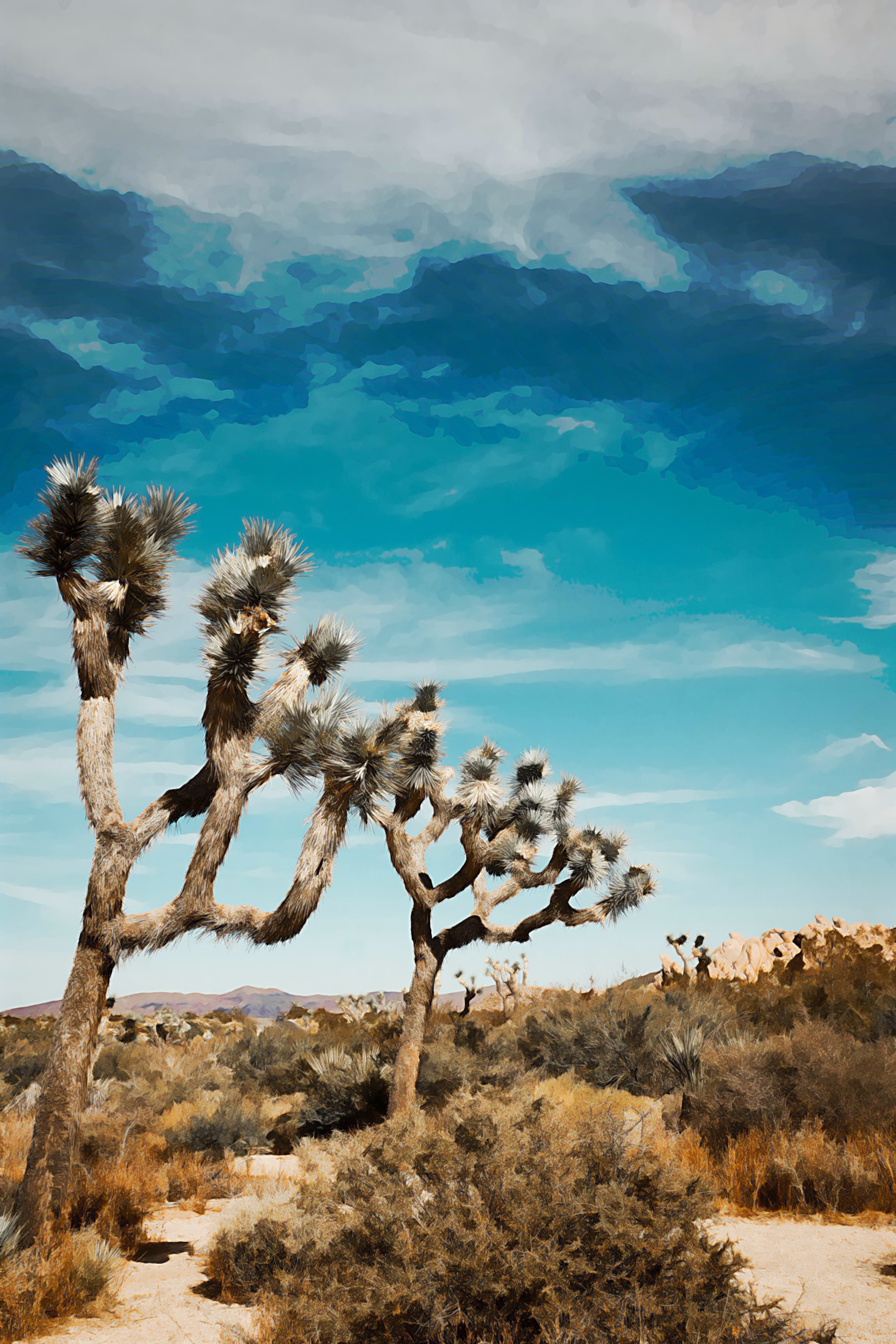 Joshua Tree