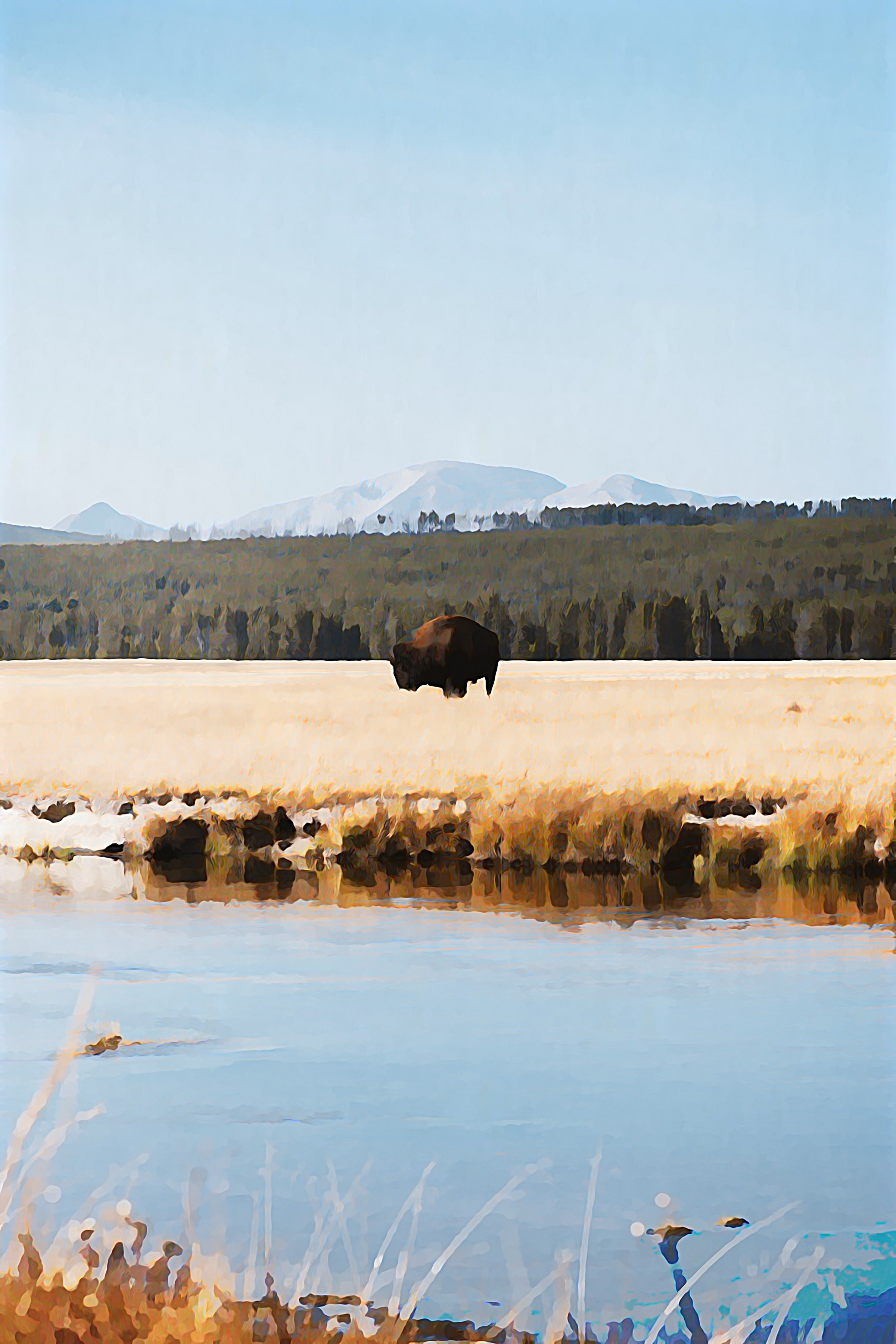 Yellowstone