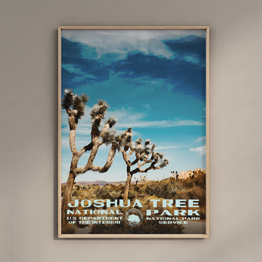 a poster of a joshua tree national park