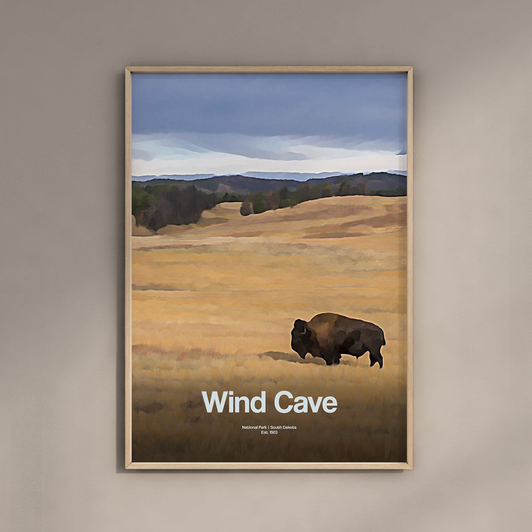 a picture of a bison in a field with the words wind cave on it