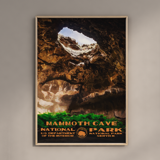 a poster hanging on the wall of a cave