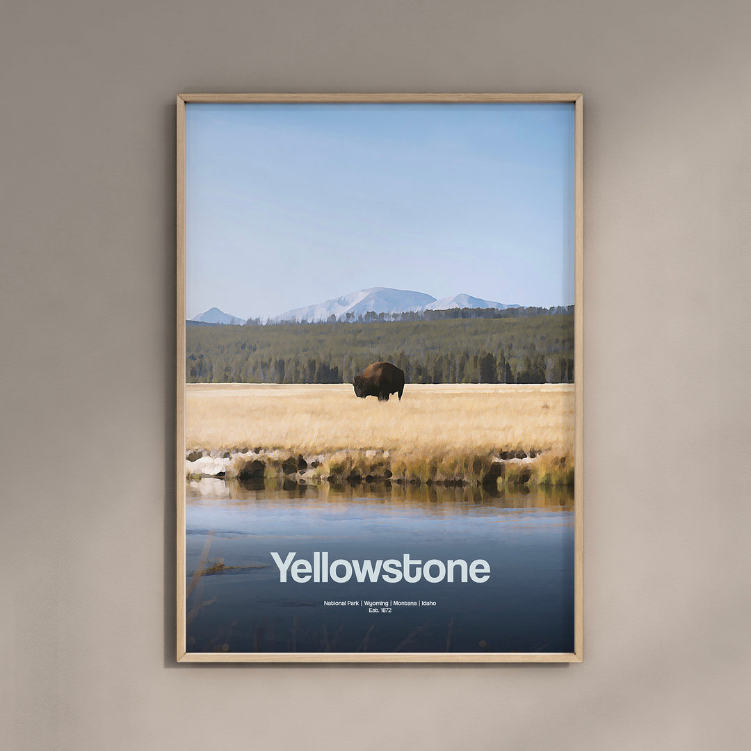 a picture of a bison standing in a field